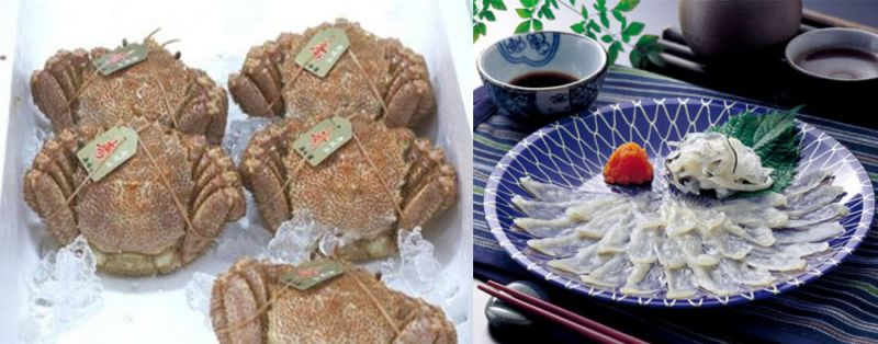 cua tuyết cá nóc